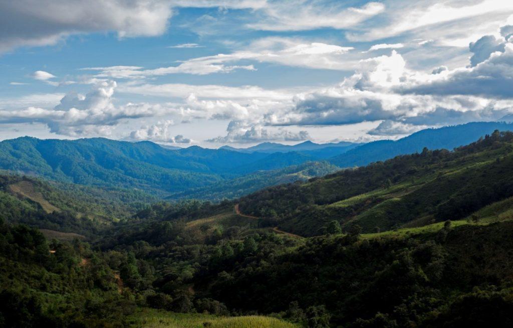 Image 1 Montagnes De Guerrero 